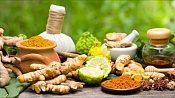 LIVESTREAM “HOW TO STRENGTHEN IMMUNE IN SUMMER TO PREPARE FOR AUTUMN?”